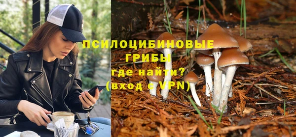 гидра Нея