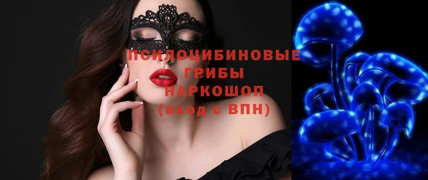 стафф Надым