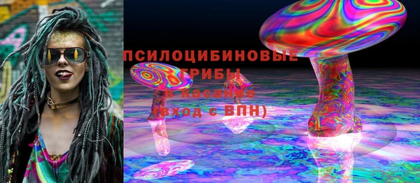гидра Нея