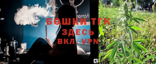 СК Новозыбков