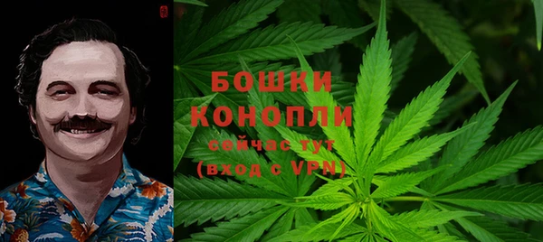 гидра Нея