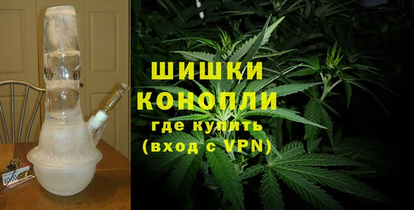 гидра Нея
