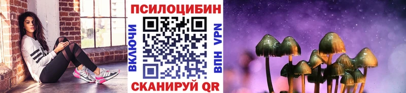 Псилоцибиновые грибы мицелий  Осинники 