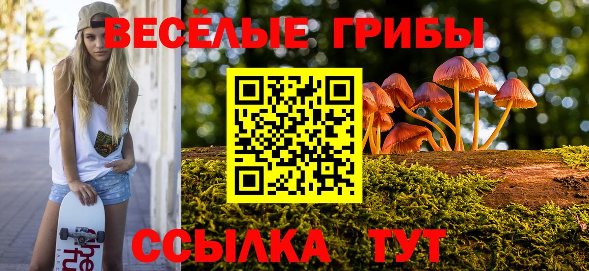 Галлюциногенные грибы MAGIC MUSHROOMS Осинники